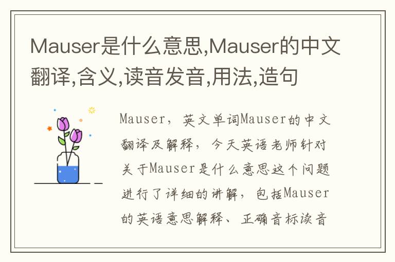 Mauser是什么意思,Mauser的中文翻译,含义,读音发音,用法,造句,参考例句