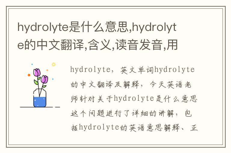 hydrolyte是什么意思,hydrolyte的中文翻译,含义,读音发音,用法,造句,参考例句