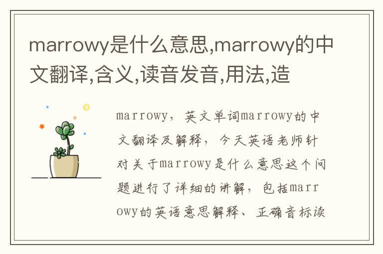 marrowy是什么意思,marrowy的中文翻译,含义,读音发音,用法,造句,参考例句