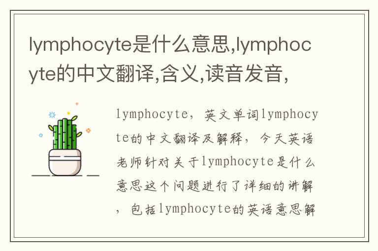 lymphocyte是什么意思,lymphocyte的中文翻译,含义,读音发音,用法,造句,参考例句