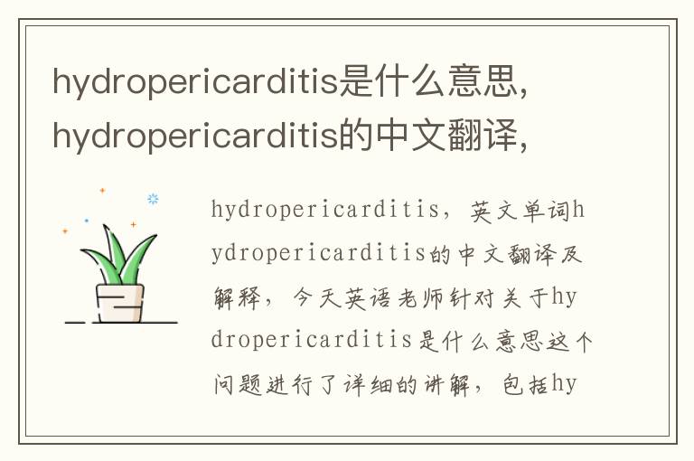 hydropericarditis是什么意思,hydropericarditis的中文翻译,含义,读音发音,用法,造句,参考例句