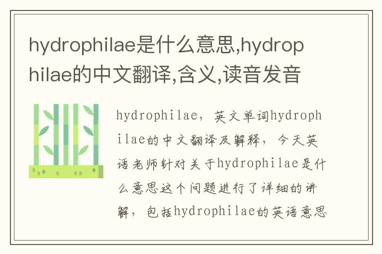 hydrophilae是什么意思,hydrophilae的中文翻译,含义,读音发音,用法,造句,参考例句