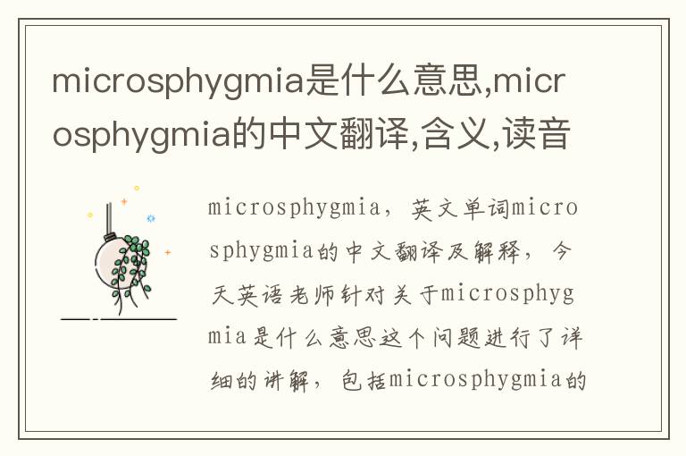 microsphygmia是什么意思,microsphygmia的中文翻译,含义,读音发音,用法,造句,参考例句