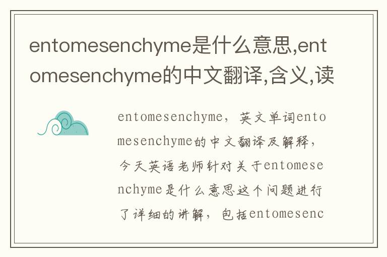 entomesenchyme是什么意思,entomesenchyme的中文翻译,含义,读音发音,用法,造句,参考例句