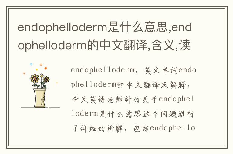 endophelloderm是什么意思,endophelloderm的中文翻译,含义,读音发音,用法,造句,参考例句