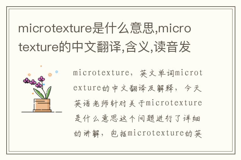 microtexture是什么意思,microtexture的中文翻译,含义,读音发音,用法,造句,参考例句