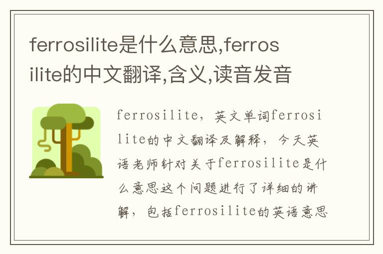 ferrosilite是什么意思,ferrosilite的中文翻译,含义,读音发音,用法,造句,参考例句