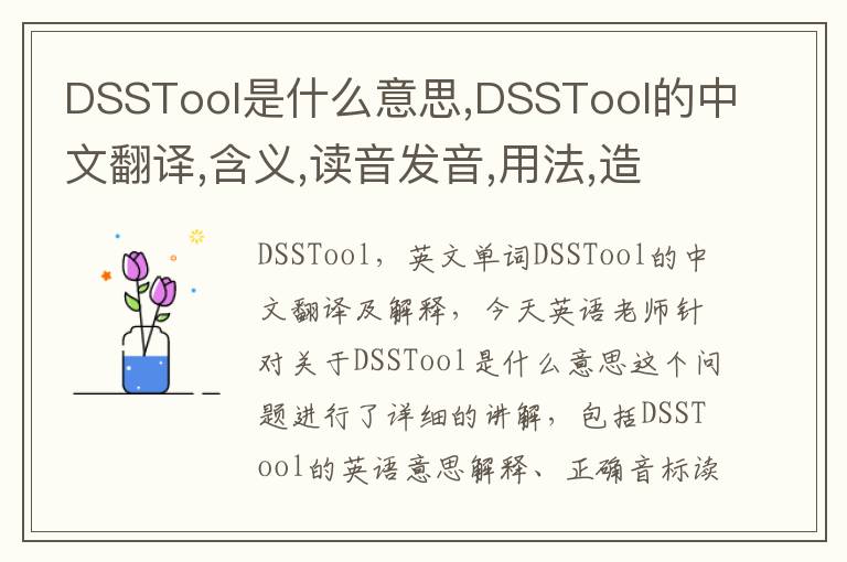 DSSTool是什么意思,DSSTool的中文翻译,含义,读音发音,用法,造句,参考例句