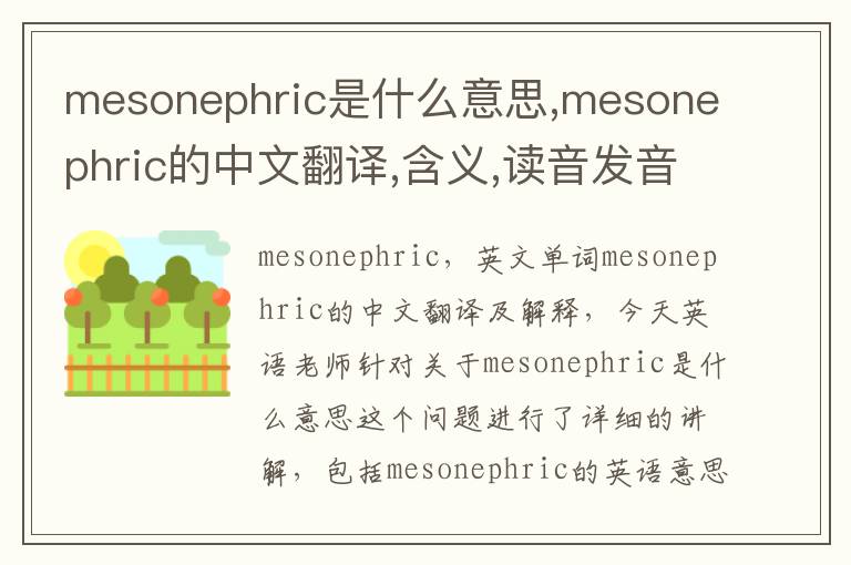 mesonephric是什么意思,mesonephric的中文翻译,含义,读音发音,用法,造句,参考例句