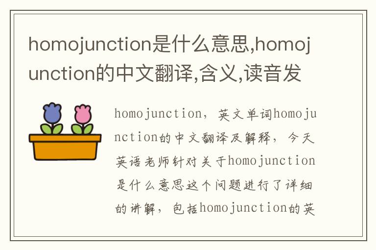 homojunction是什么意思,homojunction的中文翻译,含义,读音发音,用法,造句,参考例句