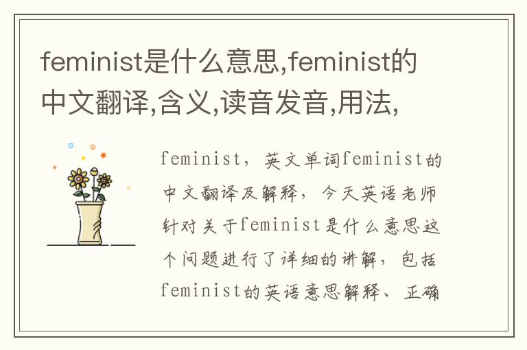 feminist是什么意思,feminist的中文翻译,含义,读音发音,用法,造句,参考例句