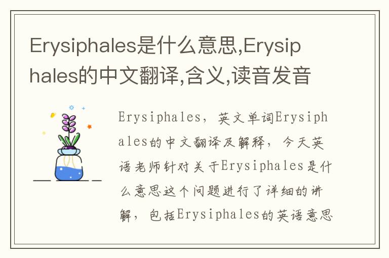 Erysiphales是什么意思,Erysiphales的中文翻译,含义,读音发音,用法,造句,参考例句