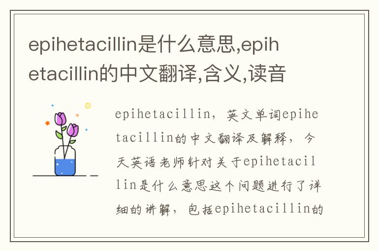 epihetacillin是什么意思,epihetacillin的中文翻译,含义,读音发音,用法,造句,参考例句