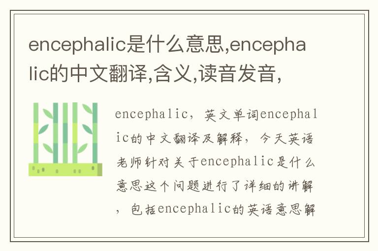 encephalic是什么意思,encephalic的中文翻译,含义,读音发音,用法,造句,参考例句