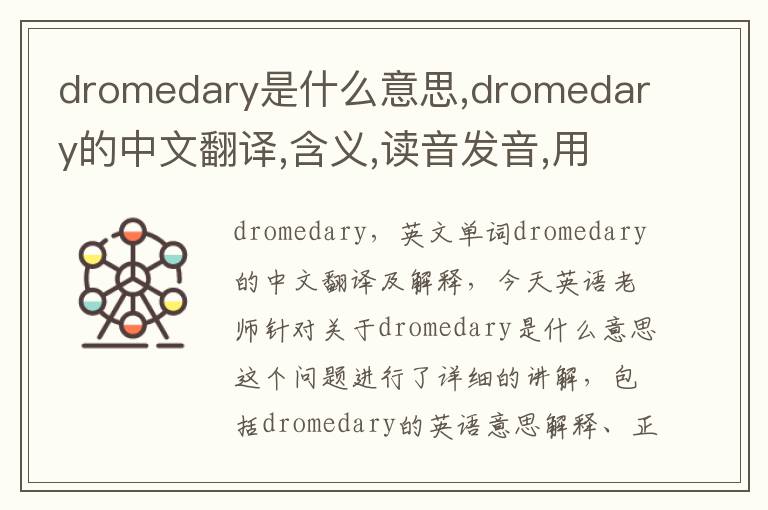 dromedary是什么意思,dromedary的中文翻译,含义,读音发音,用法,造句,参考例句