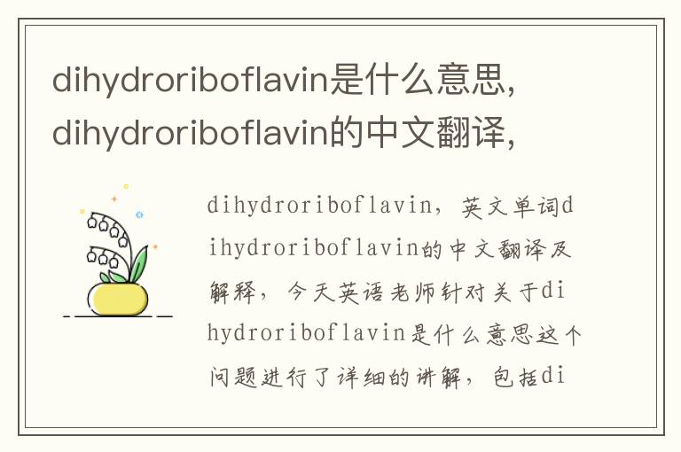 dihydroriboflavin是什么意思,dihydroriboflavin的中文翻译,含义,读音发音,用法,造句,参考例句