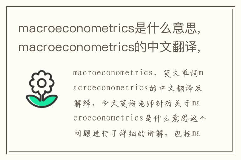 macroeconometrics是什么意思,macroeconometrics的中文翻译,含义,读音发音,用法,造句,参考例句