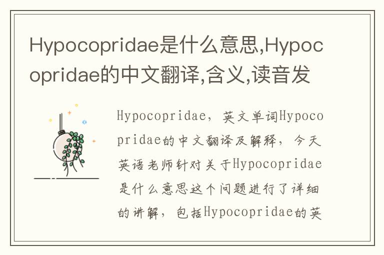 Hypocopridae是什么意思,Hypocopridae的中文翻译,含义,读音发音,用法,造句,参考例句