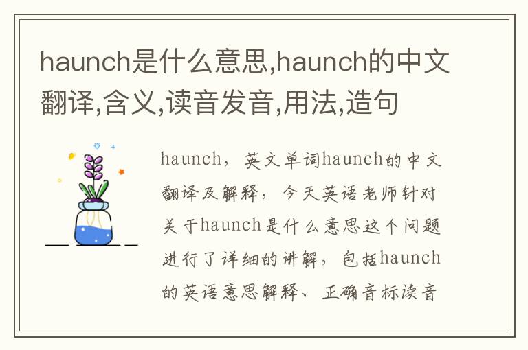 haunch是什么意思,haunch的中文翻译,含义,读音发音,用法,造句,参考例句