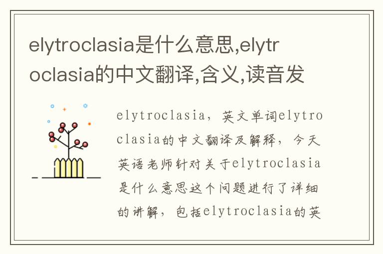 elytroclasia是什么意思,elytroclasia的中文翻译,含义,读音发音,用法,造句,参考例句