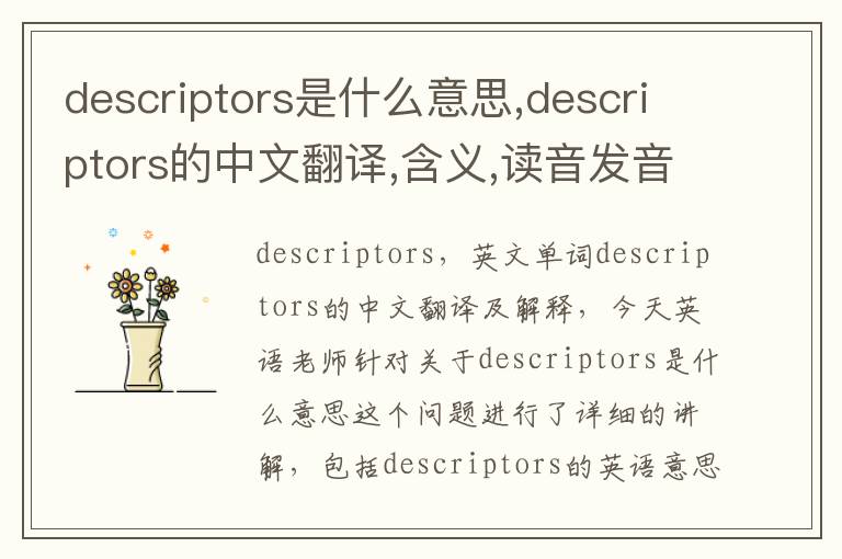 descriptors是什么意思,descriptors的中文翻译,含义,读音发音,用法,造句,参考例句