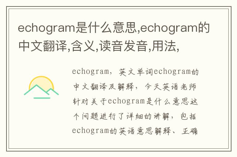 echogram是什么意思,echogram的中文翻译,含义,读音发音,用法,造句,参考例句