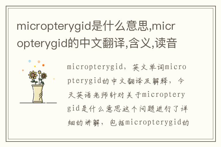 micropterygid是什么意思,micropterygid的中文翻译,含义,读音发音,用法,造句,参考例句