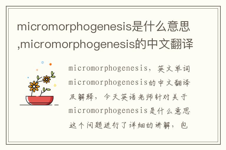 micromorphogenesis是什么意思,micromorphogenesis的中文翻译,含义,读音发音,用法,造句,参考例句