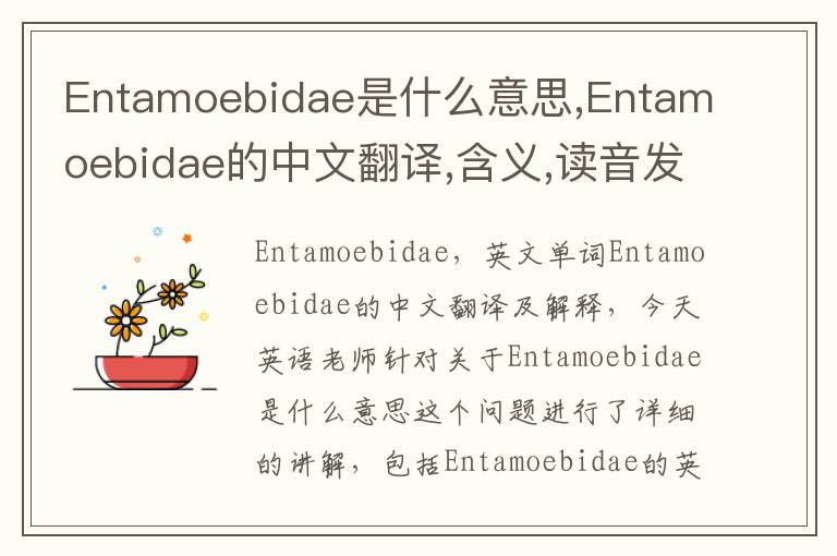 Entamoebidae是什么意思,Entamoebidae的中文翻译,含义,读音发音,用法,造句,参考例句