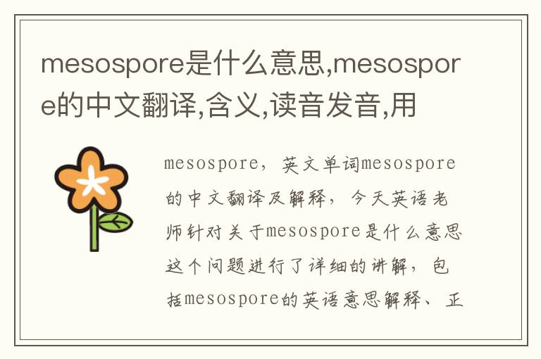 mesospore是什么意思,mesospore的中文翻译,含义,读音发音,用法,造句,参考例句