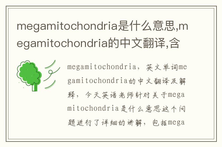 megamitochondria是什么意思,megamitochondria的中文翻译,含义,读音发音,用法,造句,参考例句