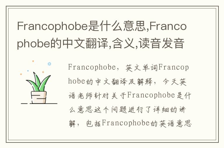 Francophobe是什么意思,Francophobe的中文翻译,含义,读音发音,用法,造句,参考例句