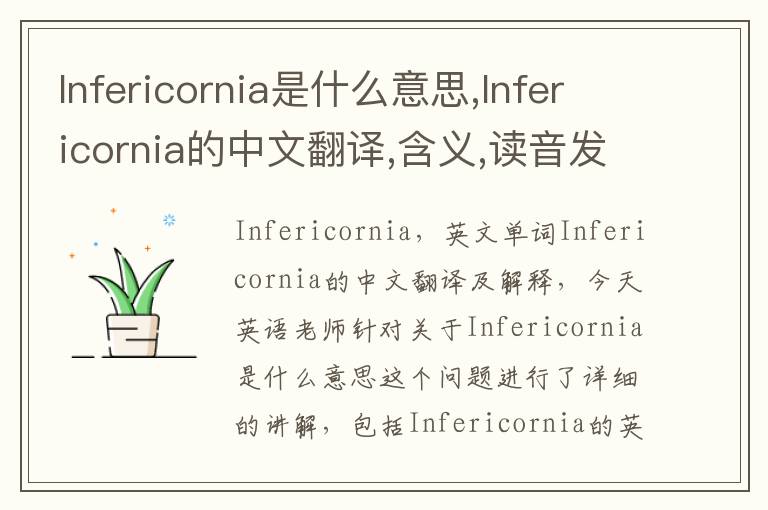 Infericornia是什么意思,Infericornia的中文翻译,含义,读音发音,用法,造句,参考例句