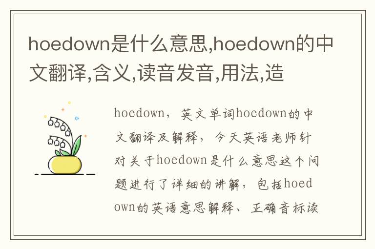 hoedown是什么意思,hoedown的中文翻译,含义,读音发音,用法,造句,参考例句