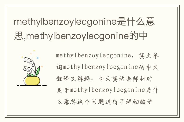 methylbenzoylecgonine是什么意思,methylbenzoylecgonine的中文翻译,含义,读音发音,用法,造句,参考例句