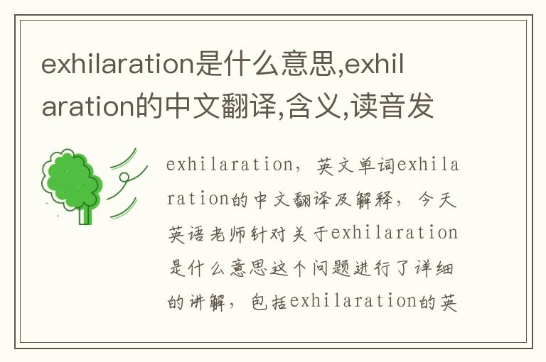 exhilaration是什么意思,exhilaration的中文翻译,含义,读音发音,用法,造句,参考例句