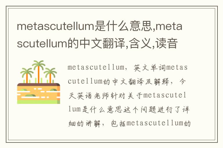 metascutellum是什么意思,metascutellum的中文翻译,含义,读音发音,用法,造句,参考例句