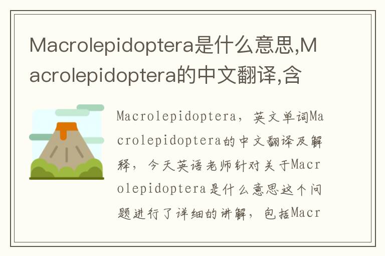 Macrolepidoptera是什么意思,Macrolepidoptera的中文翻译,含义,读音发音,用法,造句,参考例句