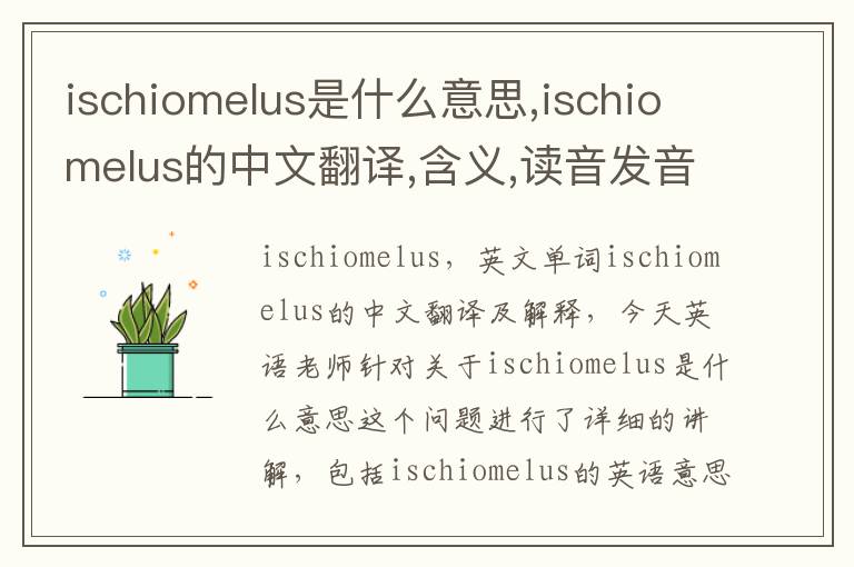 ischiomelus是什么意思,ischiomelus的中文翻译,含义,读音发音,用法,造句,参考例句