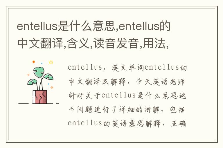 entellus是什么意思,entellus的中文翻译,含义,读音发音,用法,造句,参考例句