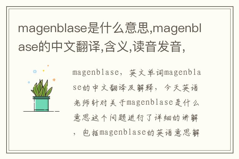 magenblase是什么意思,magenblase的中文翻译,含义,读音发音,用法,造句,参考例句