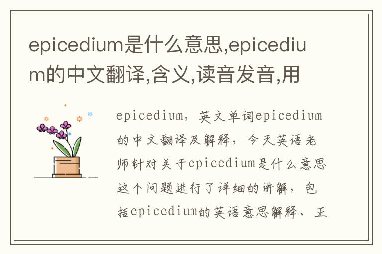 epicedium是什么意思,epicedium的中文翻译,含义,读音发音,用法,造句,参考例句