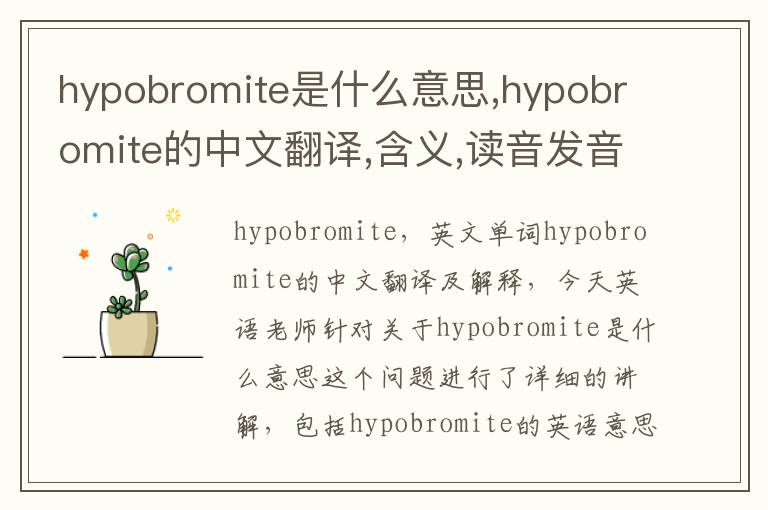 hypobromite是什么意思,hypobromite的中文翻译,含义,读音发音,用法,造句,参考例句