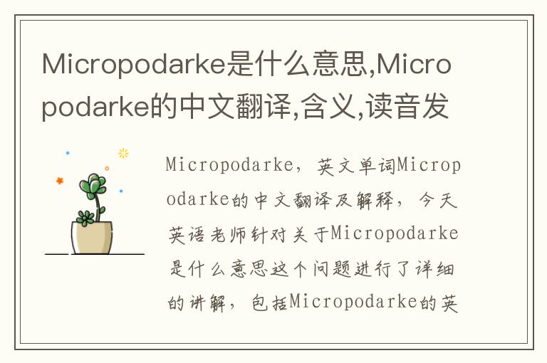 Micropodarke是什么意思,Micropodarke的中文翻译,含义,读音发音,用法,造句,参考例句