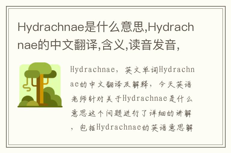 Hydrachnae是什么意思,Hydrachnae的中文翻译,含义,读音发音,用法,造句,参考例句