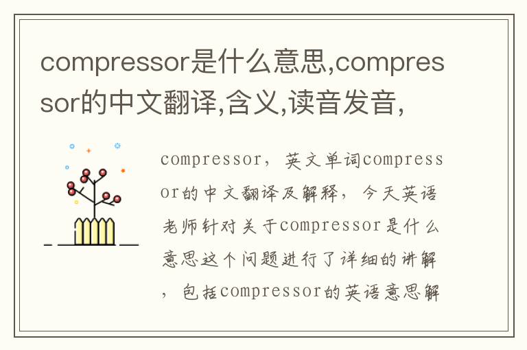 compressor是什么意思,compressor的中文翻译,含义,读音发音,用法,造句,参考例句