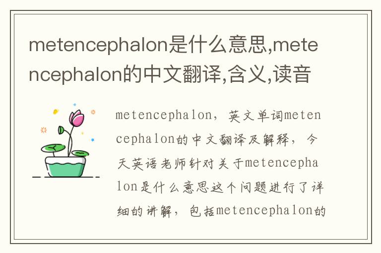 metencephalon是什么意思,metencephalon的中文翻译,含义,读音发音,用法,造句,参考例句