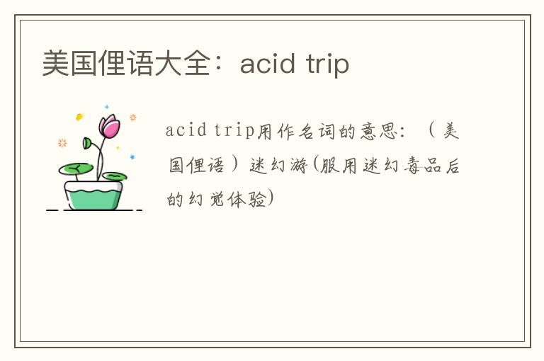 美国俚语大全：acid trip