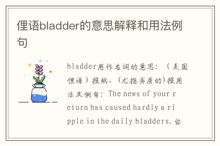 俚语bladder的意思解释和用法例句