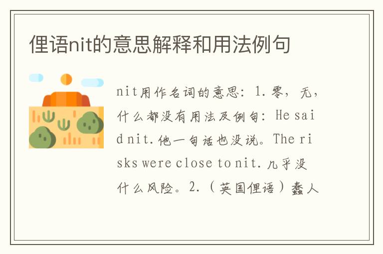 俚语nit的意思解释和用法例句